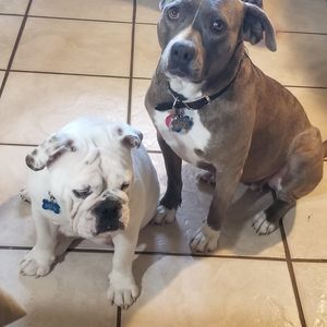 Meet your Posher, Annie